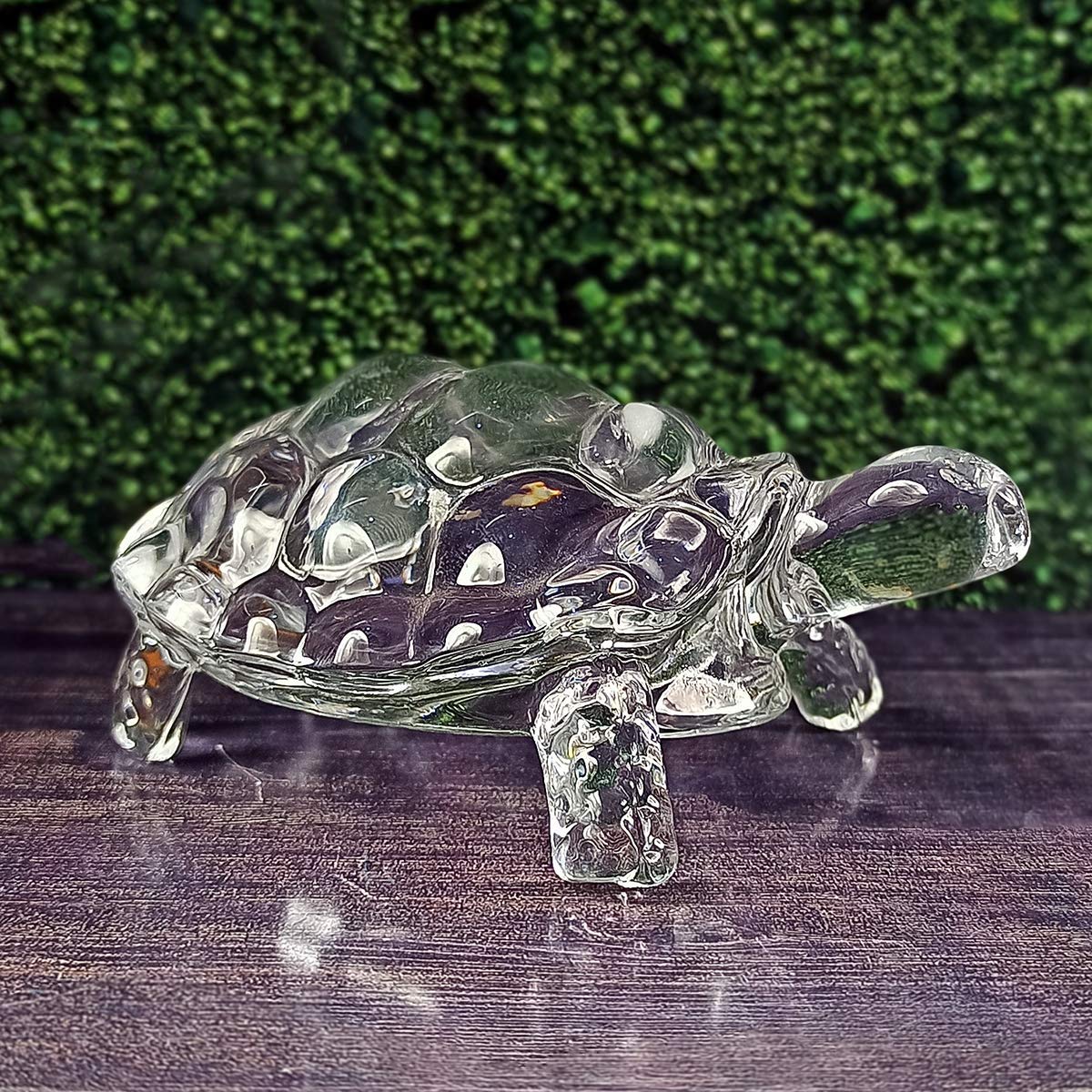 Tortoise TR1-144