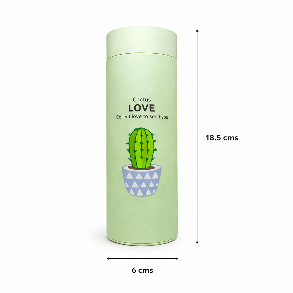 Glass Water Bottle 450ml with Cactus Design